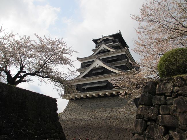 2012年4月、九州に行って来ました。<br />熊本県の熊本城、阿蘇山。　宮崎県の高千穂峡。　大分県の湯布院、別府。　最後に福岡県の大宰府など、3泊4日をレンタカーで巡りました。<br /><br />時期は4月の4日間、行き先は九州の4県。<br />そこで、旅行記のタイトルは「4月の九州4県4日間の旅」に決定！<br /><br /><br />桜はもう終わっていると思いましたが、所によってはまだ見ごろでした。<br /><br /><br /><br />さて初日は、福岡空港でレンタカーを借り、高速を走って熊本へ。<br />熊本城を見て熊本市内に宿泊。<br /><br />2日目は通潤橋、高千穂峡、高千穂神社、白川水源、阿蘇山を巡って、阿蘇温泉まで。<br />けっこうな距離を走りました。<br /><br /><br />3～4日目は「その2」でどうぞ。