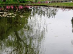 古河総合公園の遅咲きの桃の花を愛でる