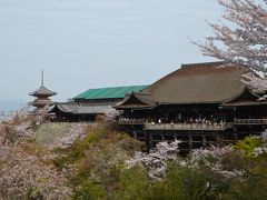 京都さくら紀行２０１２　（三日目）　清水寺、円山公園、知恩院、真如堂、哲学の道