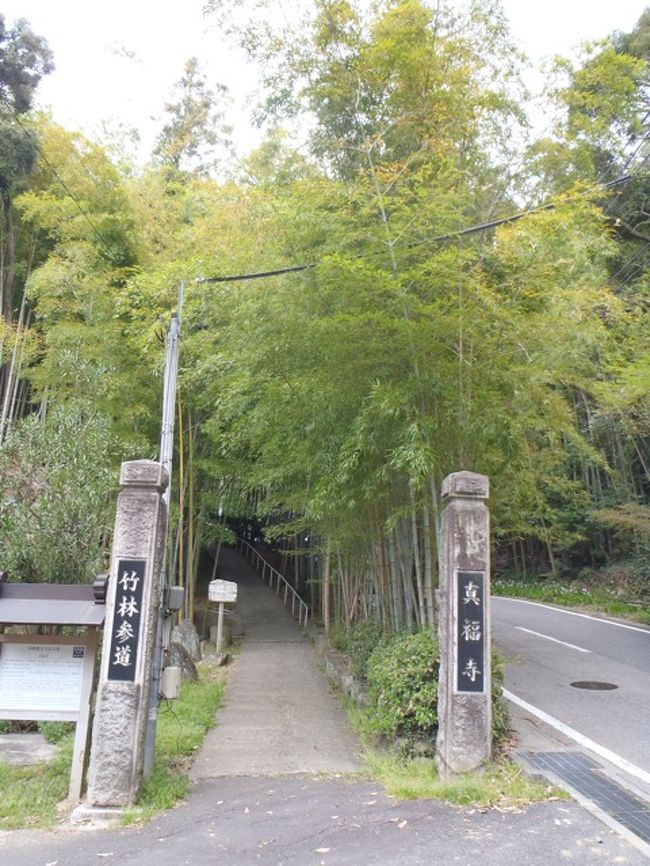 季節を味わいにお出かけしましょ 真福寺 岡崎 岡崎 愛知県 の旅行記 ブログ By Someさん フォートラベル