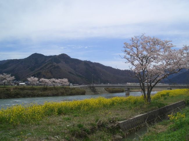 この春、初めてのお花見。<br />しかも、初めてのお花見ソロツー。<br /><br />赤穂から千種川沿いの田舎道をセローでとことこ走った。<br />初めて、蕎麦を喉ごしで味わい、<br />道を間違え、<br />道端で、写真を撮り・・・<br />ジェラードのお店のおばさんに教えて貰って、枝垂れ桜を愛で・・・<br />ハーレーのおっちゃん達とおしゃべりし・・・<br /><br />桜と蕎麦の取り合わせ<br />渋くて、風流な、のんびり贅沢な一日でした。<br /><br />