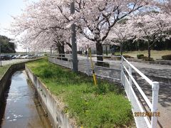 そして・・・また春が巡ってきた！２０１２年取手の桜と突然の出会いin TOKYO☆
