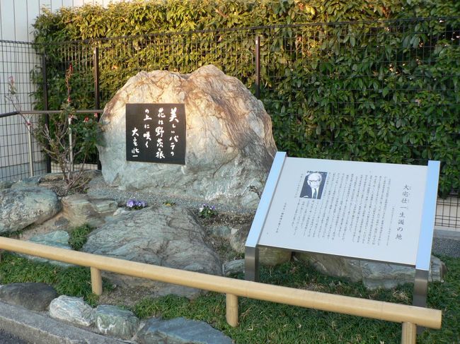 塚原古墳群は15群・約110基を数えた大阪府高槻市の古墳群で、塚原八十塚と呼ばれていたが現在40基ほど残っている。1872年、ウイリアム・ゴーランドによって有名となり、古墳研究の先駆けとなった古墳群として注目された。ウィリアム・ゴーランド(1842−1922年)は明治政府がイギリスより大阪造幣寮(現造幣局)に招聘した化学兼冶金技師で日本の古墳研究の先駆者としても知られ日本考古学の父と呼ばれている。<br />古墳群は、阿武山東・南斜面一帯に営まれた6世紀中頃から7世紀中頃に造られた、府下屈指の群集墳で東は高槻赤十字病院構内、西は安威川、南は経王寺境内、北は京大阿武山地震観測所付近にまで及んでいる。古墳群に葬られた人々は、安威川流域にあった集落の有力者層と考えられ古墳の多くは横穴式石室をもつ円墳で方墳や埴輪を巡らせた円墳もあり出土品は、土師器・須恵器の他、埴輪・装身具・馬具・鉄刀などの鉄製武器・刀の把頭などもあるそうだ。<br />高槻市冨田(とんだ)町には「大宅壮一顕彰碑」が生家近くの府道わきに建立されている。地元有志による「大宅壮一顕彰碑を建てる会」により、大宅壮一氏直筆の「美しいバラは野茨の根の上に咲く」という言葉が自然石(高さ1.4m、幅2.7m)の碑に彫りこまれ、生前の活躍を称えている。<br />大宅 壮一(おおや そういち、1900−1970年)は、ジャーナリストで毒舌の社会評論家として有名で三女はジャーナリストの大宅映子。大阪府三島郡富田村(現高槻市)の醤油屋の三男として生まれ旧制富田尋常小学校、高等小学校から旧制茨木中学(現・大阪府立茨木高等学校)に進学した際には川端康成が三学年上に在籍していた。その後第三高等学校、東京帝国大学文学部に進学しジャーナリストになるが「一億総白痴化」「駅弁大学」「口コミ」「恐妻」など時代をとらえた造語を数多く生み出した毒舌の社会評論家として親しまれた。<br />高槻市にも近い総持寺駅(そうじじえき)は、大阪府茨木市総持寺駅前町の阪急電鉄京都本線の駅。<br />駅前は商店街で、周辺には総持寺団地、閑静な住宅地、総持寺などがあり古い街並みもある。<br />(写真は「大宅壮一顕彰碑」)<br />