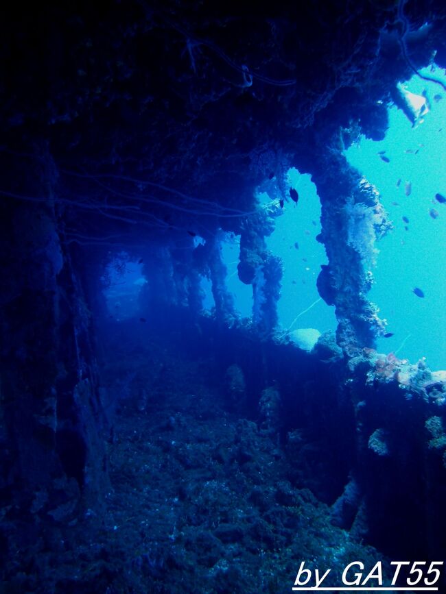 時が止まった戦場へトラック諸島でDIVE！～ジェームス・キャメロン監督が愛する特設航空機運搬艦 富士川丸(FUZIGAWA MARU)～