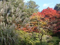 秋の京都②（京都御所、来迎院、宝泉院、鞍馬寺、吉田神社、修学院離宮、曼受院門跡、詩仙堂）