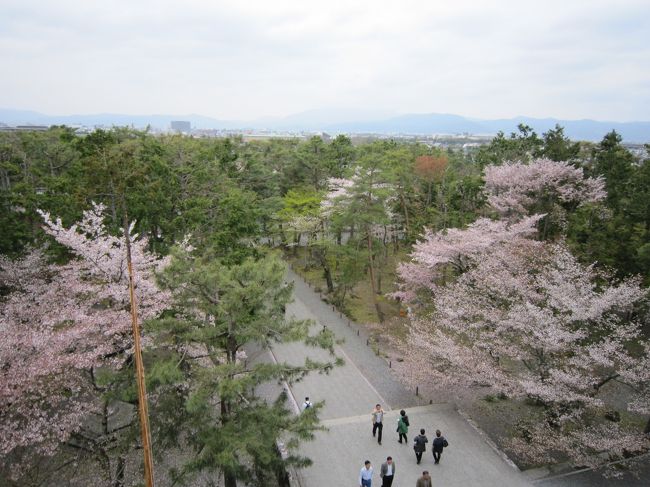 ５年ぶりに桜の季節の京都へ行ってきました！<br />満開の時期は少し過ぎてましたが相変わらず混んでいましたよ。