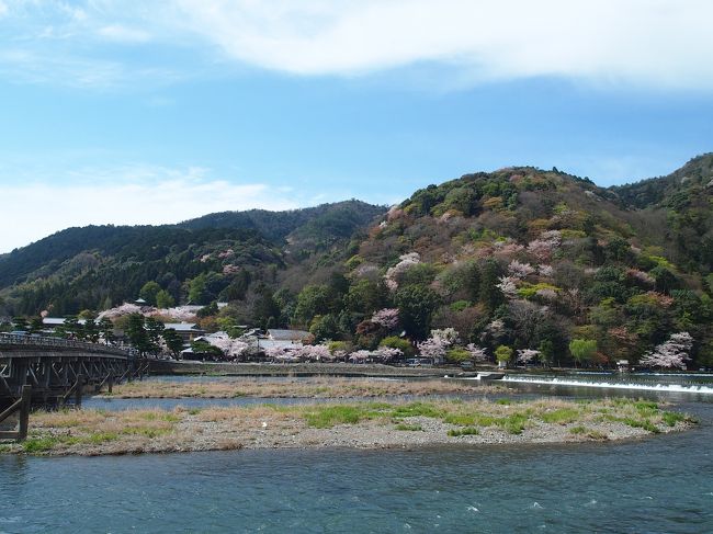【旅の２日目前半。嵐山散策（所要約２時間）】<br /><br />春の京都を巡る旅の２日目は、この京都の中でも随一の景勝地である嵐山から嵯峨野を散策することに。<br /><br />まずは、嵐山のシンボルでもある渡月橋から桜に彩られた山々を眺め、その後、世界遺産にも指定されている天龍寺へ。ちょうど境内のしだれ桜も満開でした♪<br /><br />この嵐山の緑と水と桜が織りなす風光明媚な環境が、平安の昔から人々を魅了してきた理由を、今回訪れてみて感じることができました☆<br />（ただ、この日の嵐山周辺も人で溢れかえっていましたが…）<br /><br />〔旅の２日目前半の行程〕<br />・JR京都駅～嵯峨嵐山駅～渡月橋～虚空蔵 法輪寺～嵐山公園～天龍寺<br /><br />〔１日目の旅行記～銀閣寺から哲学の道を歩き平安神宮へ～〕<br />http://4travel.jp/traveler/akaitsubasa/album/10661369/<br />〔２日目後半の旅行記～春爛漫の嵯峨野古寺巡り（常寂光寺から大覚寺まで）～〕<br />http://4travel.jp/traveler/akaitsubasa/album/10665086/
