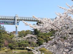 千葉市ぐるり旅【20】～都心のオアシス～千葉公園(お花見2012)