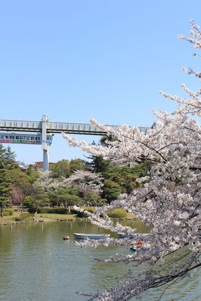 千葉県千葉市は東京湾に面した臨海部と平地・台地を含む県庁所在地で政令指定都市。日本の人口で13番目で大きく市域には多くの国道や高速道路が集まり、また県内鉄道網の要となっています。臨海部は千葉港を中心とした京葉工業地域の一角をなし、幕張新都心には複合商業施設等が多く観光名所も多数あります。<br />千葉市の観光名所で有名なのが東京湾を望む美浜区に、全国的に有名なイベントや会議などが開催される複合的コンベンション施設の幕張メッセや千葉ロッテマリーンズの本拠地QVCマリンフィールド、三井アウトレットパーク 幕張など。その他にも千葉市のシンボル「千葉ポートタワー」、、「花の都・ちば」を都市イメージとして確立すべく事業を展開し「千葉市花の美術館」や「千葉公園」の大賀ハスなどの花の名所、さくら名所100選の泉自然公園、日本の都市公園100選の昭和の森、都市景観100選の土気南地区などの日本100選に選ばれた隠れた名所もあります。特に幕張メッセでは年間通じて様々なイベントが開催されているため訪れる観光客が多いのではないでしょうか。<br /><br />□■□■□■□■□■□■□■□■□■□■□■□■□■□■□■<br /><br />千葉市ぐるり旅、今回は千葉公園へお花見に行って来ました。<br />「千葉公園」は千葉市初の総合公園として1946年（昭和21年）6月に決定した戦災復興計画に基づいて陸軍の鉄道第一連隊跡地に整備された公園で、同公園内には野球場、プール、体育館等の運動施設や綿打池があります。「鉄道連隊」は戦地における鉄道の建設・修理・運転や敵の鉄道の破壊に従事する連隊で、戦地のみならず国内各地でも鉄道建設を請け負い、現在の東武野田線・久留里線・夷隅鉄道などを敷設したと言われています。園内は春になると660本のソメイヨシノ、ベニシダレなどのサクラが咲く、花見の名所としても知られ、夜はライトアップもされ、夜桜を池のボートからもお花見を楽しむことができます。<br /><br />□■□■□■□■□■□■□■□■□■□■□■□■□■□■□■<br /><br />＜千葉公園＞<br />千葉市中央区弁天3-1<br />http://www.city.chiba.jp/toshi/koenryokuchi/kanri/chuo-inage/chibakouen.html<br /><br />□■□■□■□■□■□■□■□■□■□■□■□■□■□■□■<br /><br />【千葉市ぐるり旅】<br />【1】JEF UNITED千葉/フクダ電子アリーナ<br />http://4travel.jp/traveler/dekadora/album/10543608<br />【2】千葉ポートタワー<br />http://4travel.jp/traveler/dekadora/album/10543621/<br />【3】妙見本宮　千葉神社<br />http://4travel.jp/traveler/dekadora/album/10543666/<br />【4】Japan camping car show2011<br />http://4travel.jp/traveler/dekadora/album/10545727/<br />【5】千葉市花の美術館(2月)<br />http://4travel.jp/traveler/dekadora/album/10545747/<br />【6】千葉市動物公園<br />http://4travel.jp/traveler/dekadora/album/10547247/<br />【7】稲毛海浜公園<br />http://4travel.jp/traveler/dekadora/album/10547510/<br />【8】加曾利貝塚公園<br />http://4travel.jp/traveler/dekadora/album/10549396/<br />【9】青葉の森公園(彫刻広場＆西洋庭園)<br />http://4travel.jp/traveler/dekadora/album/10549411/<br />【10】青葉の森公園(梅園＆生態園)<br />http://4travel.jp/traveler/dekadora/album/10549419/<br />【11】亥鼻公園(亥鼻城)<br />http://4travel.jp/traveler/dekadora/album/10557902/<br />【12】千葉公園<br />http://4travel.jp/traveler/dekadora/album/10557904/<br />【13】東京アミューズメントマシンショー2011<br />http://4travel.jp/traveler/dekadora/album/10602779/<br />【14】東京ゲームショー2011<br />http://4travel.jp/traveler/dekadora/album/10602791/<br />【15】イタリアの風　ラ・クッチ－ナ　ＨＡＮＡ<br />http://4travel.jp/traveler/dekadora/album/10618982/<br />【16】千葉ポートタワー(Ｃサイドクリスマス2011)<br />http://4travel.jp/traveler/dekadora/album/10628217/<br />【17】千葉市花の美術館(1月)<br />http://4travel.jp/traveler/dekadora/album/10647114/<br />【18】青葉の森公園(梅園＆雪割草展示展）<br />http://4travel.jp/traveler/dekadora/album/10655112/<br />【19】亥鼻公園　桜祭り2012<br />http://4travel.jp/traveler/dekadora/album/10662782/<br />【20】千葉公園(花見2012)<br />http://4travel.jp/traveler/dekadora/album/10662815/<br />【21】青葉の森公園(花見2012)
