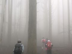 濃霧で幻想的な武甲山に登る