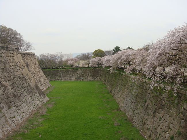 吉野の千本桜が見たくて、バスツアーを探したら丁度、ツタンカーメン展とセットになったツアーがあったので申し込んでおいた。<br />一泊のツアーです。<br />以前も行ったことがありますが、その時は駐車場までの渋滞と探すのにとても苦労したのでバスツアーにした。<br />自由行動は取れないですが、なによりラクチンですので。<br />造幣局前の桜並木散策も！と思っていましたが、１７日からで断念！ツアーガイドに１６，１７日の予定を逆にできないのか聞いたら、吉野の駐車場が完全予約制との事でした。<br /><br />大阪城と、大阪城公園を散策して（桜は大分散っていましたが、散りゆく桜も風情がありました）からツタンカーメン展へ・・・・・此処は写真撮影はできませんでしたが、金銀で出来た装飾品などの出土品が展示されていました。<br />しかし考古学にはあまり興味がない私には・・・・・・・<br />入場料が高い、２３００円！当日券は２５００円！・・・・（ツアー代金には含まれてはいましたが）<br />それでも凄い人気で平日なのに４０分待ちの長ーい行列が出来ていました、土日は２時間待ちになるとの事でした。<br /><br />ホテルは京阪ホテル・・・・すぐ目の前がUSJが見えて・・・・閉演まで残り２時間だというのに思わず行ってしまいました！（私は３度目ですが、妻が行ったことがないとのことで・・・・）<br />各アトラクションが並ばなくてよく、並ぶことの嫌いな私には良かったです。<br />とにかく片っ端から制覇していきましたが、時間が無くて！しかし十分堪能できたと思います・・・・・多分二度とは来ないでしょうから・・・・・・<br /><br />ホテルは３１階の展望風呂が良かったです。