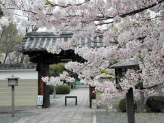 2012年　京都と奈良で桜を愛でる（その１）