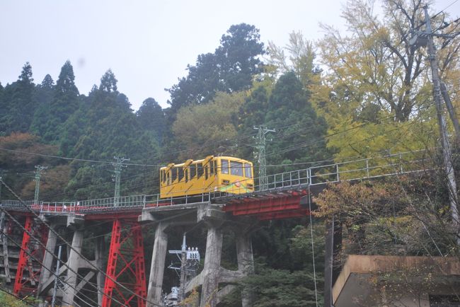 ２０１１年秋、色づきはじめた東京 青梅の御岳山に行きました。<br />登山ブームと季節もあってか登山鉄道は３０分の乗車待ちの大人気。<br />でもみずみずしい空気や川の流れる音が聞こえる中で登山を思いっきり楽しんできました！<br />大きな味噌団子を食べながらあるくのがおすすめです。<br />コースによってはかなり急斜面を歩くので登山靴や服装など整えて！！<br />