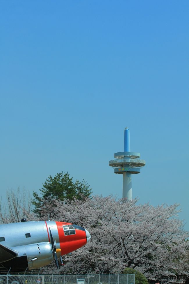 日本で初めて飛行場が出来た場所として有名な所沢航空記念公園。<br />航空のあれこれも学べるけど、公園も広くてお花であふれているし、日本庭園もあったりします。午前中に日高市の巾着田で桜見をして、ちょっとものたりなかったので以前から行きたかった航空記念公園まで花見のはしごに行ってきました(^O^)／<br />
