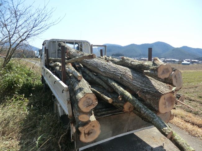 二ヶ月あまりのチェンマイ暮らしからソウル経由で我が家に・・・今年は雪が多くて秘密基地はその重みで潰れているのでは？と心配していましたが・・・無事に元気に留守番してました。<br /><br />寒さのせいで・・・薪がよく売れました・・・次の時期のためにお仕事できるので嬉しいです・・・この仕事も今年で8年目・・・新米といっていられません・・・、<br /><br />ソンナこんなでバタバタと一ヶ月以上が過ぎ去りました・・・　その間の暮らしぶりを見てください・・・