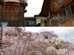 飯坂温泉に泊まって春爛漫の花見山へ