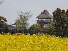 20120412 吉野ヶ里公園を散策しましょ