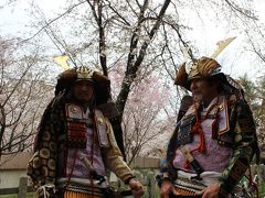 2012年　4月　春の京都　偶然にも平野桜祭り（桜祭神幸祭）に遭遇、有名な「魁桜」など平野神社は珍種がいっぱい