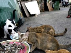 2012年3月　インドシナ半島3カ国周遊旅行 6 ペナン前編