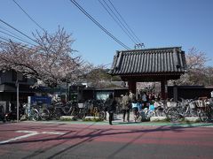 金沢文庫の 称名寺 で、ちょっとお花見