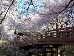 信州さくら巡り1泊2日（高遠城址公園～別所温泉）