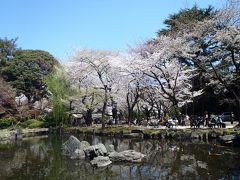 2012年、お花見は、靖国神社