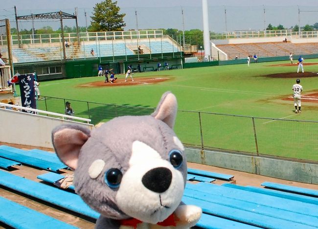 新丸子の駅から、等々力球場でクラブチームの熱い戦いを見ました。<br />都市対抗野球の神奈川一次予選で、横浜ベイブルースと京浜野球倶楽部の試合でした。<br /><br />隣の等々力スタジアムでは、川崎フロンターレさんの試合をやっていたようで、<br />大相撲の春日山部屋の力士がいっぱいいるイベントをやっていました!<br /><br />4トラベルでは、野球成分を少なめにして、旅行記風にまとめます。<br /><br />野球ブログは、こちら。<br /><br />【都市対抗神奈川一次予選】横浜ベイブルース 初戦突破<br />http://www.plus-blog.sportsnavi.com/chifu/article/588<br /><br />横浜ベイ○○ー○対千葉ロッテ風<br />http://www.plus-blog.sportsnavi.com/chifu/article/587<br /><br />