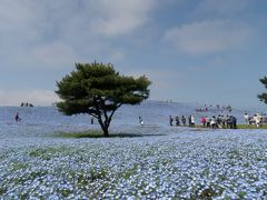 空と大地と海がつながる場所　ひたち海浜公園とプチグルメの旅