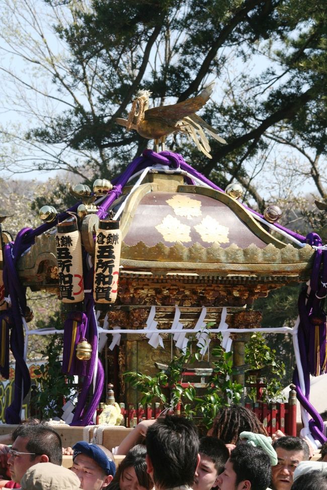 鎌倉で4月8日から15日までの1週間に及ぶ「第54回鎌倉祭り」があり、ちょうどこの時期桜が満開で、両方の見学を兼ねて出掛けてみました。<br /><br />初日の8日には御輿行列や鶴岡八幡宮での「静の舞」、15日には流鏑馬等が行われるようでしたが、小生は8日の御輿行列だけを見ることができました。桜の花の満開の下で何十台もの神輿が練り歩く様は壮観でした。<br /><br />昨年は東日本大震災直後ということもあって春の鎌倉祭りはすべて中止(流鏑馬のみ実施)されましたが、今年は復興継続支援ということで、大々的に開催されました。<br /><br />昨年(2011年)4月の鎌倉祭り「流鏑馬」の記録もご覧ください。<br /><br />■ 「鎌倉鶴岡八幡宮の『被災復興支援流鏑馬』を見る」<br /> http://4travel.jp/traveler/srilanka/album/10560904/<br />