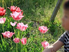 わが家の週末 - 100万本の季節の花々が飾る彩りの大地・大阪府堺市「ハーベストの丘」 編-