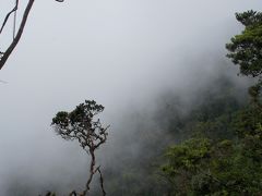 20120319 キャメロン・ハイランド Gunung Brinchangでも行ってみるかね