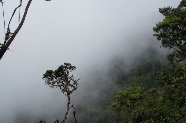 二晩ほど同室だったDaveが、泥だらけで&quot;良かったよ！&quot;ちうてた、Gunung Brinchang、行ってみようかな？<br /><br />とは言え、体力無いので、適当なところで引き返すのが前提でしたが…