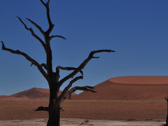 2012秋ナミブ砂漠～赤い砂、青い空、白い塩湖、黒いアカシアの木＠Namib Naukluft Lodge