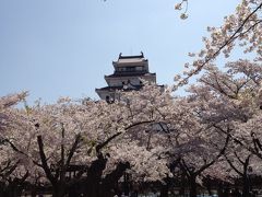 がんばろう！福島。2012年ＧＷは桜が満開(((o(*ﾟ▽ﾟ*)o)))鶴ヶ城、南湖公園、塔のへつり