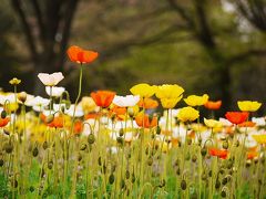 昭和記念公園ファン倶楽部・ピクニックオフ