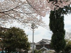 丹波篠山＊満開の桜＊篠山城跡＊春日神社＊黒豆