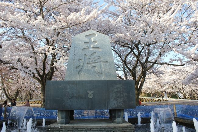 ２０１２年のゴールデンウイーク前半は、東北の日本海側でお花見三昧でした。<br />当初は角館の桜が見られたら・・・という想いから計画しましたが、<br />春の訪れが遅かったため、山形の天童も満開の桜を見ることができました。<br /><br />実家の父が、「山寺に行きたい」と言っていたので、私の両親も一緒に行くことになりました。<br />旅行記その１は、山寺から天童にかけてです。<br /><br />４月２８日　山寺・天童温泉　天童温泉泊<br />４月２９日　霞城公園・最上川遊覧　　秋田県　秋の宮温泉泊<br />４月３０日　角館・田沢湖　観光　乳頭温泉泊<br />５月１日　　刺巻湿原　秋田千秋公園観光