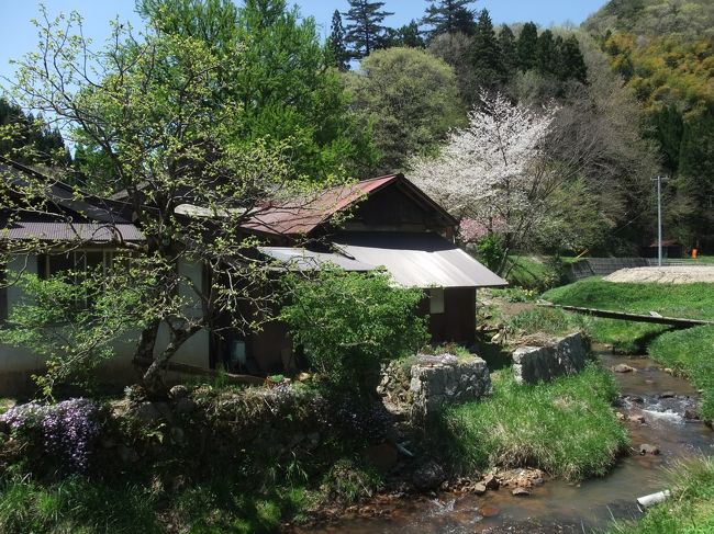 10年ぶりに友人が住む島根へ旅行。<br />10年前には気付けなかった素敵な島根を再発見!!<br /><br />島根が大好きになりました☆