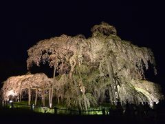 福島へ　１日目　三春滝桜ライトアップ