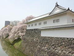 みちのく桜紀行　2012年　その２　霞城公園（山形城址）の桜と最上川遊覧