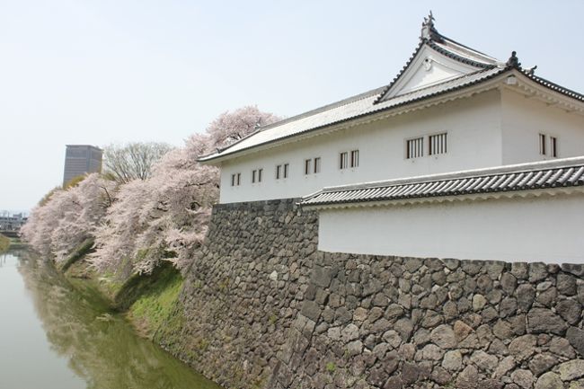 ２０１２年のゴールデンウイーク前半は、東北の日本海側でお花見三昧でした。<br />当初は角館の桜が見られたら・・・という想いから計画しましたが、<br />春の訪れが遅かったため、山形市の霞城公園の桜も見ることができました<br />霞城公園の桜はちょうど満開で見頃でした！<br /><br />実家の父が、「山寺に行きたい」と言っていたので、私の両親も一緒に行くことになりました。<br />旅行記その２は、４月２９日の霞城公園と最上川遊覧です。<br /><br />表紙の写真は霞城公園（かじょうこうえん）の東大手門です。<br /><br />ルートは父の体調や気分、優先順位の高い物から先に見たので、<br />行きつ戻りつでちょっとおかしなルートのところが多々あり、<br />参考にはなりません。<br /><br />４月２８日　山寺・天童温泉　天童温泉泊<br />４月２９日　霞城公園・最上川遊覧　　秋田県　秋の宮温泉泊<br />４月３０日　角館・田沢湖　観光　乳頭温泉泊<br />５月１日　　刺巻湿原　秋田千秋公園観光