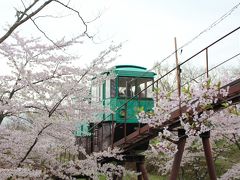 ちゃむたのちょこっとおでかけ～②千本桜を見た後は…『船岡城址公園』の観音様のもとへ・・・