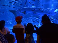 能登島水族館