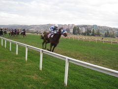 2012チリ バルパライソ競馬 といっても競馬場はビーニャにあります