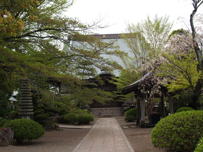 　横浜市泉区上飯田町にある本興寺は日蓮宗の本山（由緒寺院）で法華山本興寺という。万治3年（1660年）に鎌倉の本興寺が江戸幕府の弾圧に遭った際に、日蓮ゆかりの地であった上飯田の地に移されたとされる。<br />　日蓮上人が建長6年（1254年）33歳から数年にわたって、折伏逆化の辻説法をした旧跡である。杖木瓦石の難に会ったのもこの地とされる。<br />　本興寺の仁王門の屋根には3種類の飾り瓦（鳩、唐獅子、蕾付き橘）が上がっており、驚いた。住職がいなくて理由を聞けなかった。また、昭和末あたりに建立された土蔵造りのお堂があったが、これも分からずじまいになった。<br />　一番感心したのは、本堂裏に建てられていた石製五重塔だ。五重石塔は良く見かけるが、石製五重塔は初めて見た。10年前に建てられたという。昨年の東日本大震災でも倒壊しなかったようだ。木造の五重塔のように心柱があって、揺れを抑えて倒壊しないようにしているのではなく、鉄筋で土台を固め、鉄骨で本体を補強しているようだ。いくら石製だといっても地震で倒壊してしまっては五重塔らしくはない。<br />（表紙写真は本興寺本堂）