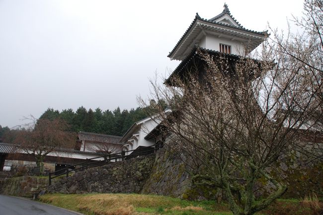 岐阜の岩村城を見に行ってきました。