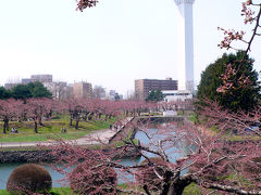 春の帰省2012　函館～五稜郭公園＆大門路地裏散歩