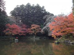 成田山紅葉狩り