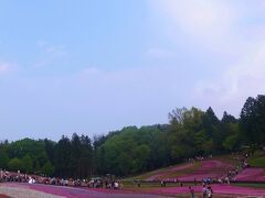 2012.5　秩父羊山公園の芝桜の丘へ