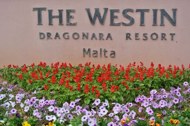 マルタ国際空港から、車で20分程でホテルへ。<br /><br />ホテルは、セントジュリアン地区にある、ウェスティンドラゴナーラリゾート（The Westin Dragonara Resort Malta）のエグゼクティブクラブルームに宿泊しました。<br />バルコニーからの眺めは最高でしたし、種類が豊富な朝食ビュッフェにも大満足♪<br /><br />-----☆<br />自分の中で行ってみたい候補地No.１だった「マルタ」<br />成田からロンドン（ヒースロー）経由でマルタ共和国に行ってきました！！<br /><br />航空券：成田～ロンドン　ヴァージンアトランティック航空（Virgin Atlantic Airways）<br />航空券：ロンドン～マルタ　エアマルタ（Air Malta）<br />ホテル：ウェスティンドラゴナーラリゾート（The Westin Dragonara Resort Malta）<br /><br />（１）成田～LHR乗り継ぎ～エアマルタ機内<br />（２）マルタ国際空港～ホテル　ウェスティンドラゴナーラリゾート<br />（３）マルタのグルメ　レストラン、マルタ産ビールいろいろ<br />（４）マルタ観光　青の洞門（ブルーグロット）<br />（５）マルタ観光　★ハジャー・イム神殿、★イムナイドラ神殿<br />（６）マルタ観光　マルサシュロック<br />（７）マルタ観光　パオラ　★ハル・サフリエニ・ハイポジウム神殿、★タルシーン神殿<br />（８）マルタ観光　イムディーナ、ラバト<br />（９）マルタ観光　★ヴァレッタ市街、聖エルモ砦（イン・ガーディア）、騎士団長の宮殿<br />（１０）マルタ国際花火大会クルーズ<br />（１１）ゴゾ観光　<br />　　　　ベルヴェデール展望台、★ジュガンティーヤ神殿、カリプソ洞窟・ラムラ湾、<br />　　　　ソルトパン（塩田）、タピーヌ教会、アズールウィンドウ（小舟乗船）、<br />　　　　シュレンディ湾でランチ、チタデルの大城塞・ヴィクトリア大聖堂<br />（１２）マルタ観光　スリーシティーズ、ディングリクリフ、マルタ国際空港<br /><br />★マークは世界遺産<br />